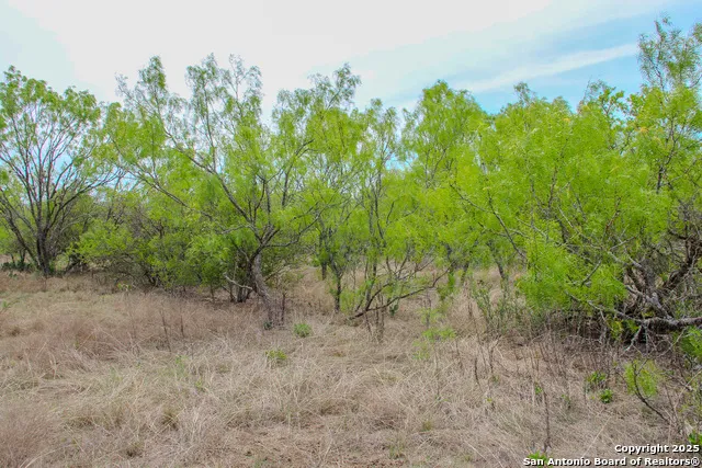 0000 County Road 341 Hondo, TX 78861