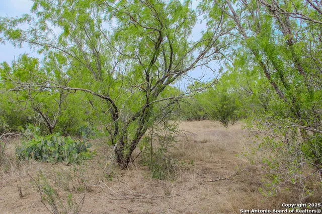 0000 County Road 341 Hondo, TX 78861