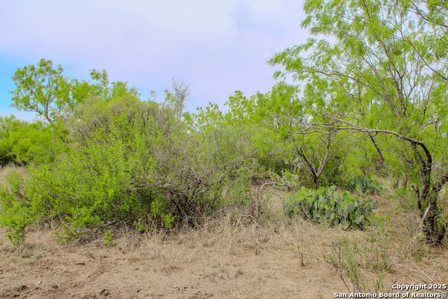 0000 County Road 341 Hondo, TX 78861