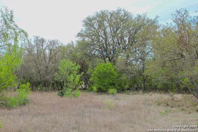 0000 County Road 341 Hondo, TX 78861