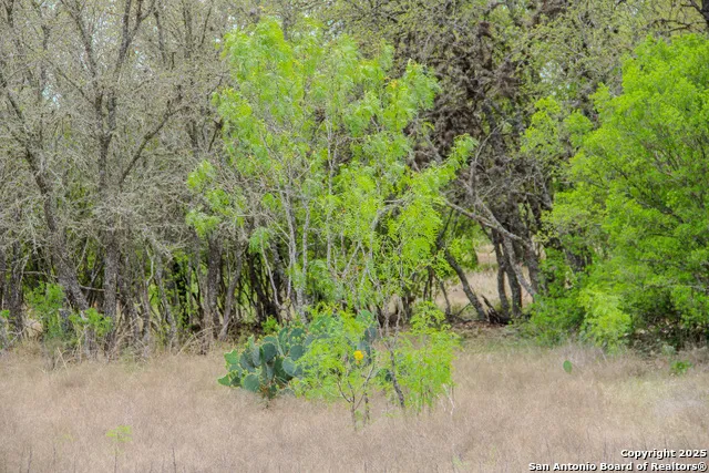 0000 County Road 341 Hondo, TX 78861