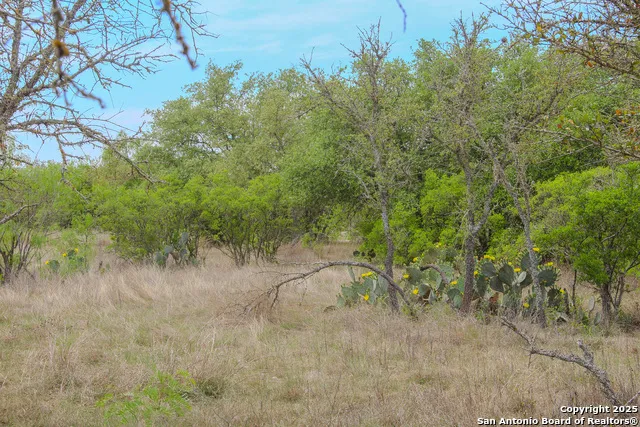 0000 County Road 341 Hondo, TX 78861
