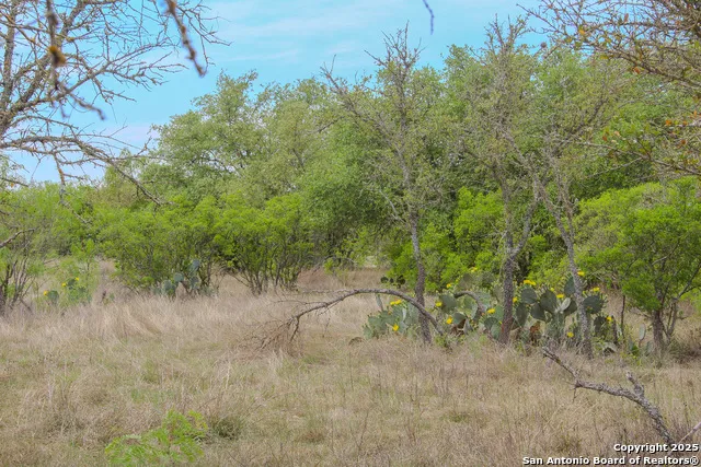 0000 County Road 341 Hondo, TX 78861