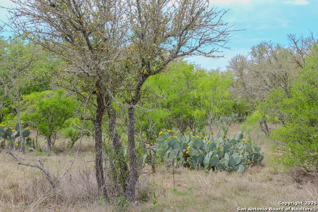 0000 County Road 341 Hondo, TX 78861