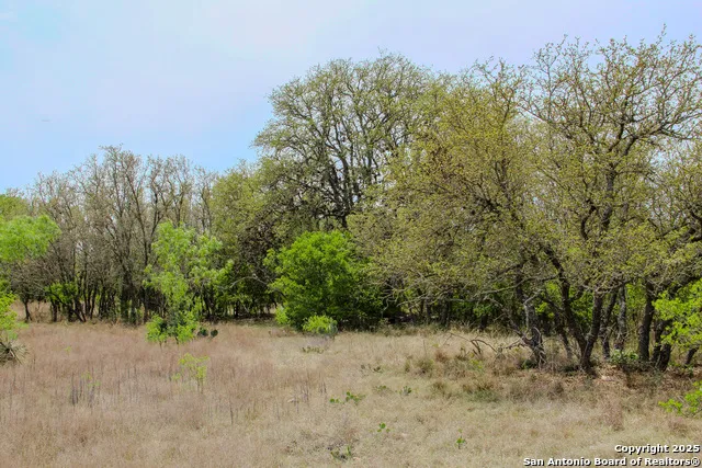 0000 County Road 341 Hondo, TX 78861