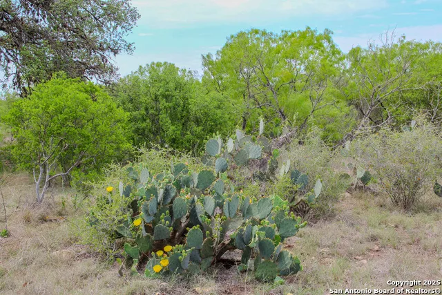0000 County Road 341 Hondo, TX 78861