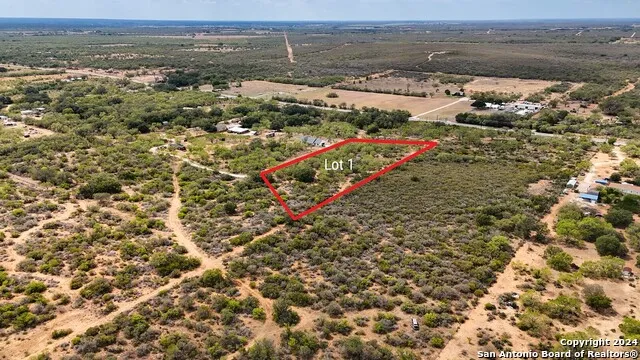 0 FM 1343 Lot 1 Devine, TX 78016
