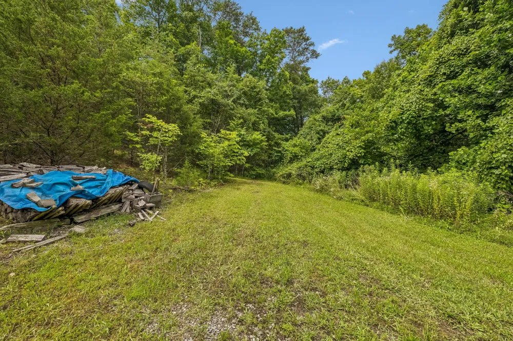 650 Gamble Gap Road Tellico Plains, TN 37385