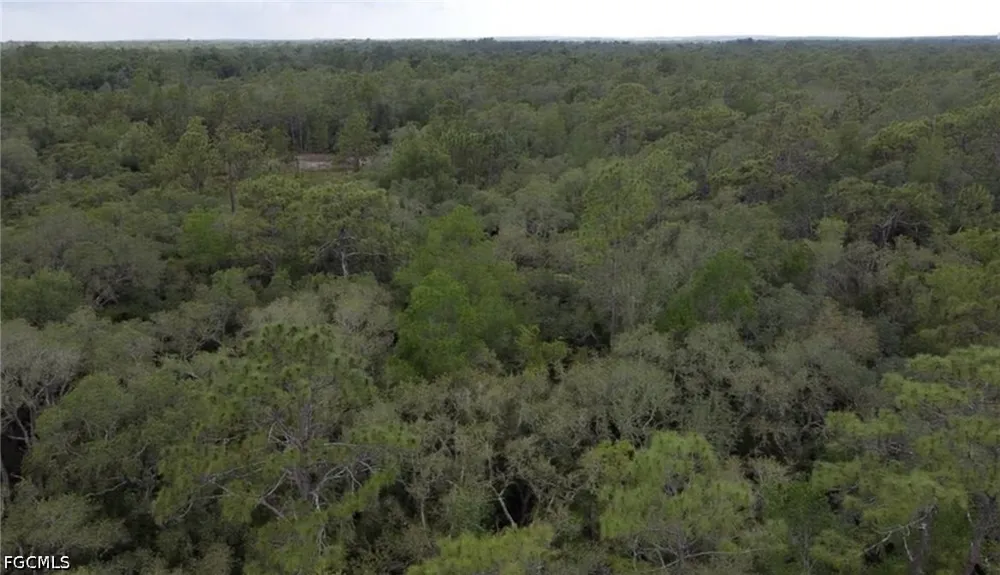Berryhill Drive Webster, FL 33597