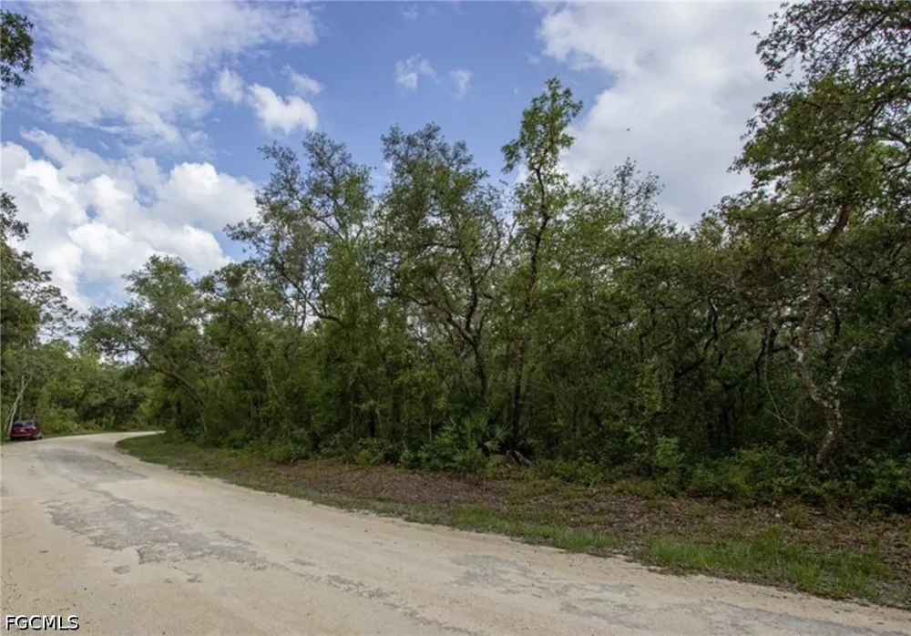Berryhill Drive Webster, FL 33597