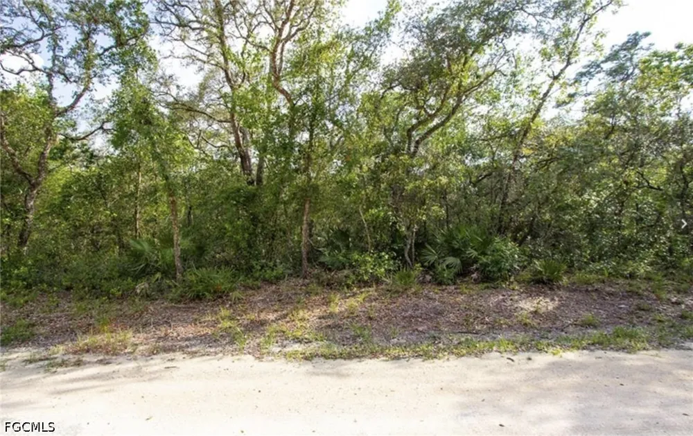 Berryhill Drive Webster, FL 33597