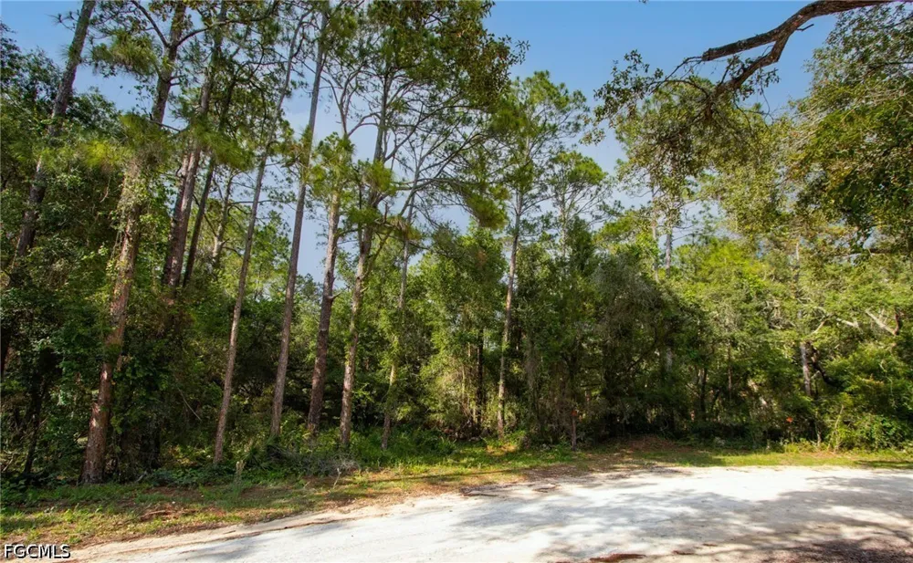 Norway Street Webster, FL 33597