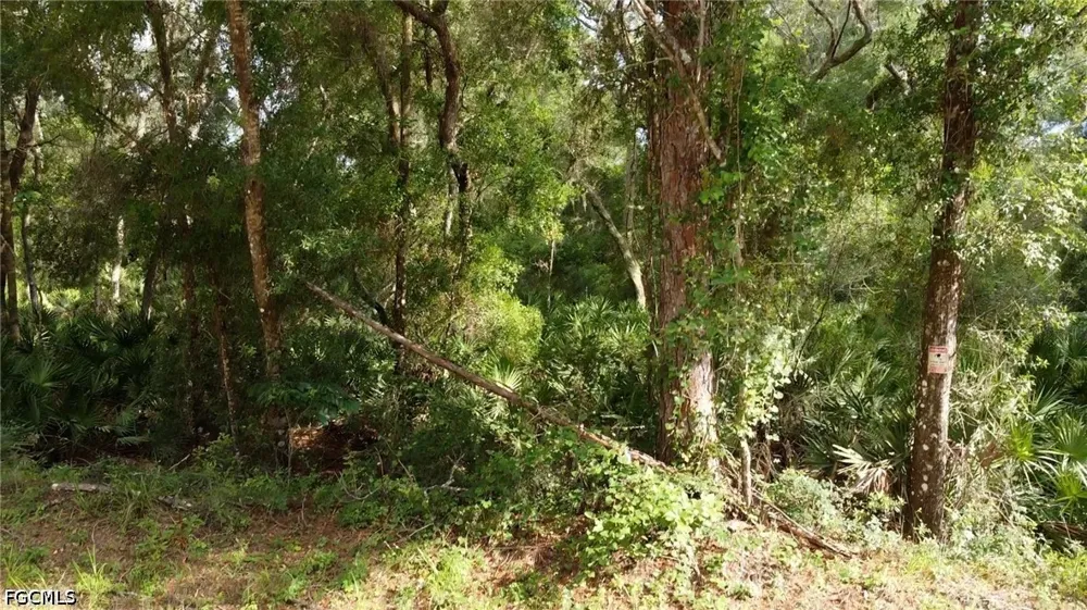 Norway Street Webster, FL 33597