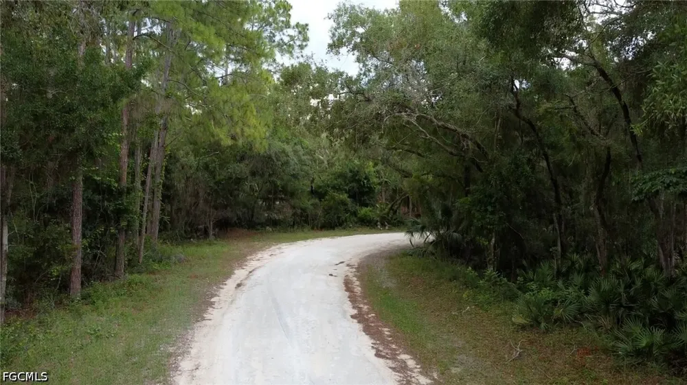 Norway Street Webster, FL 33597