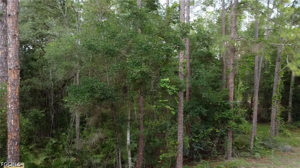 Norway Street Webster, FL 33597