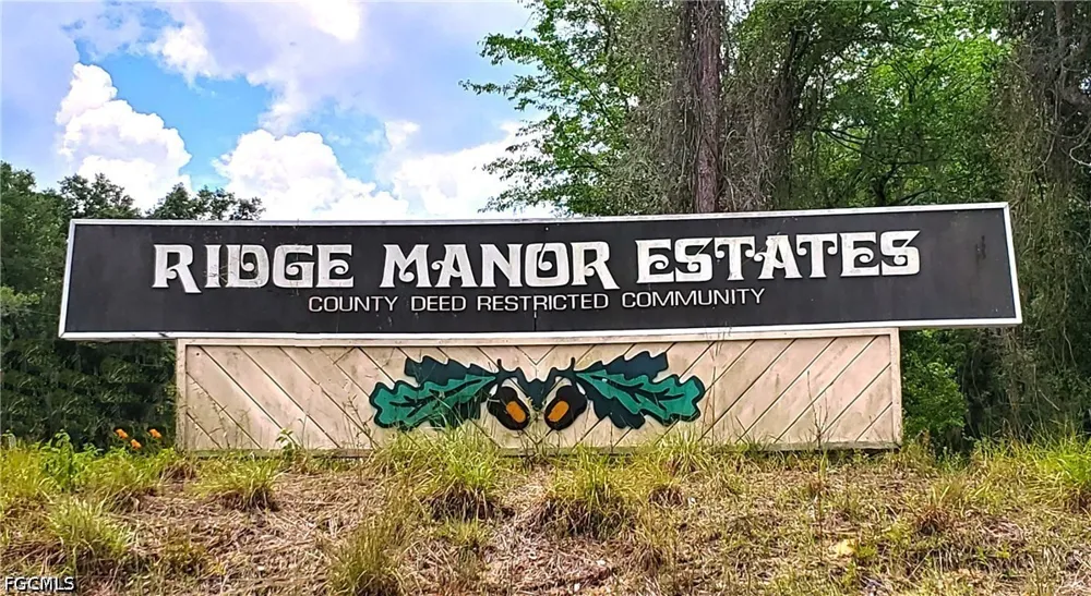 Norway Street Webster, FL 33597