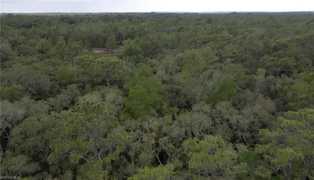 34287 Berryhill Drive Webster, FL 33597