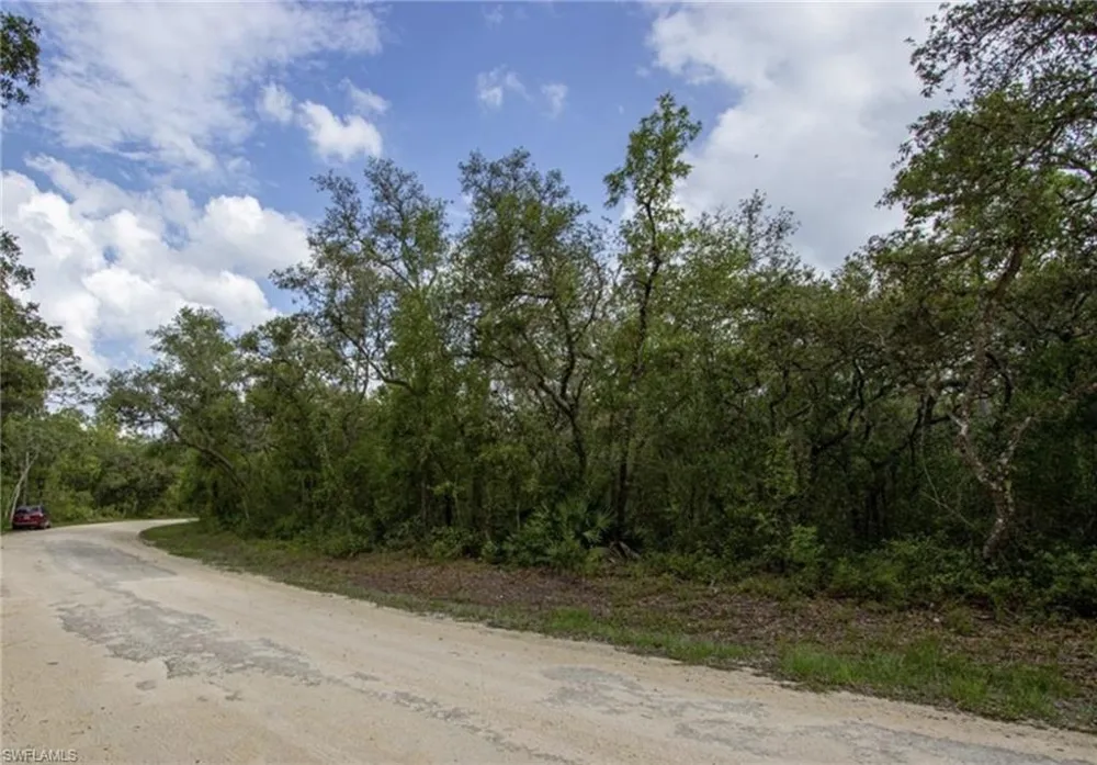34287 Berryhill Drive Webster, FL 33597