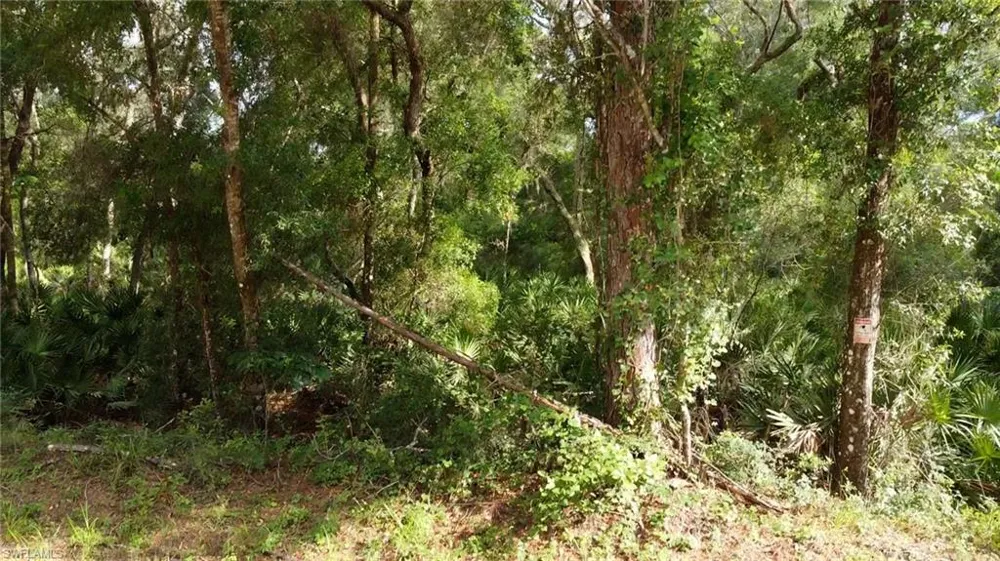 7176 Norway Street Webster, FL 33597