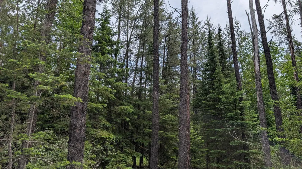 TBD Vermilion Trail Aurora, MN 55705