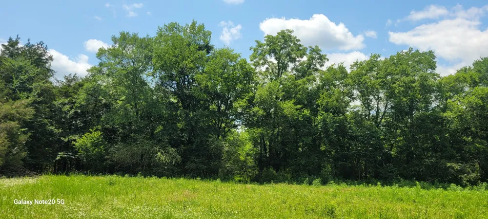 1 Clem Creek Rd Chapel Hill, TN 37034