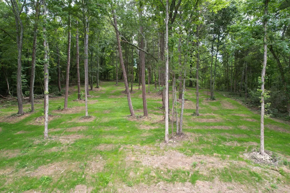 2214 N Fork Drive Soddy Daisy, TN 37379