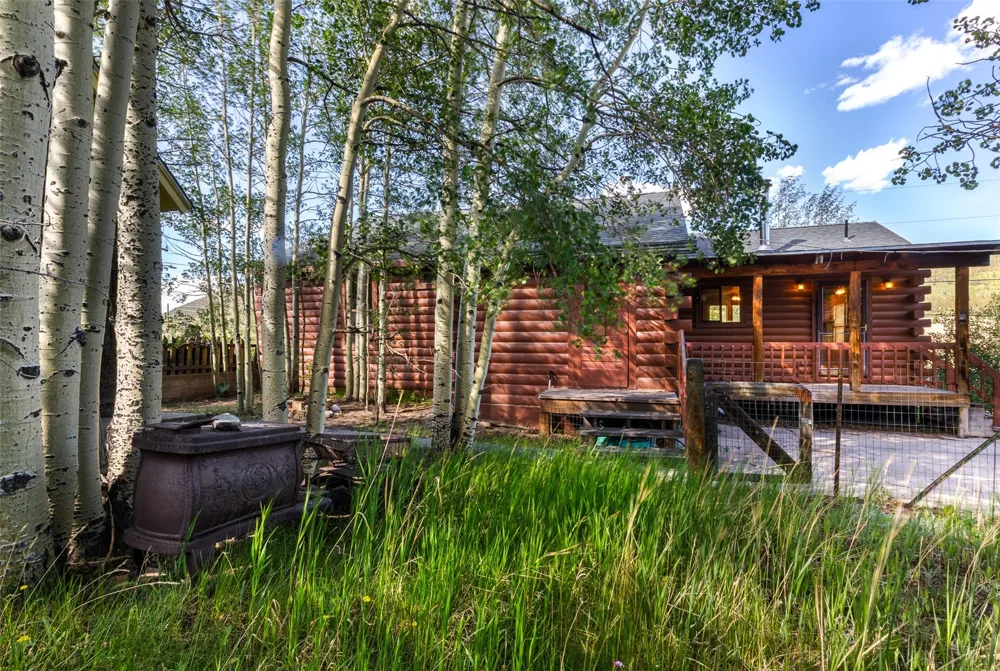 135 S MAIN STREET Alma, CO 80420
