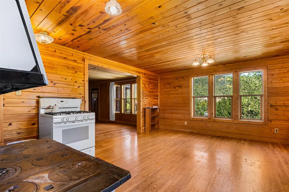 135 S MAIN STREET Alma, CO 80420