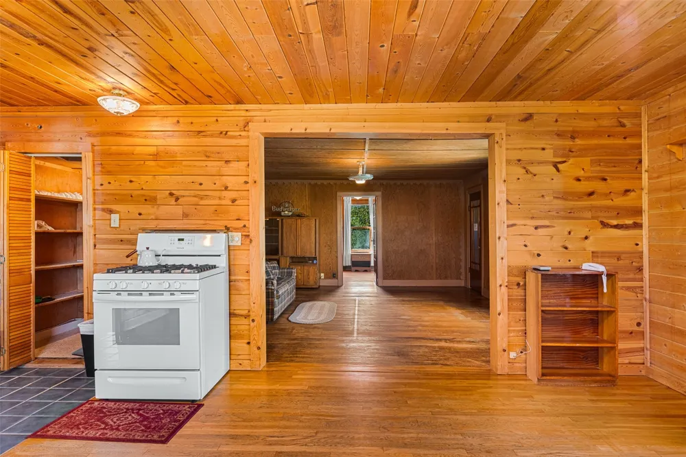 135 S MAIN STREET Alma, CO 80420