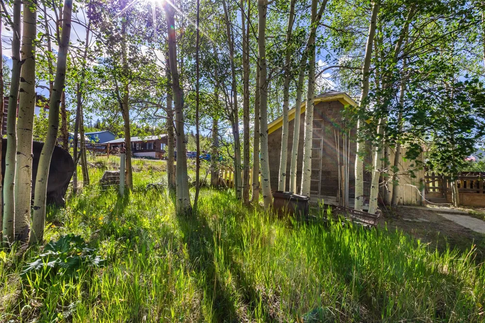 135 S MAIN STREET Alma, CO 80420