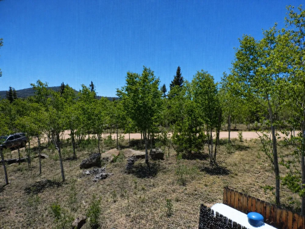 534 Concord Drive Jefferson, CO 80456