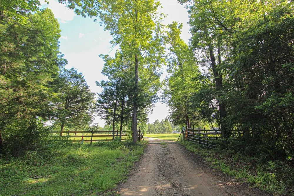 899 J Hickman Road Leggett, TX 77350