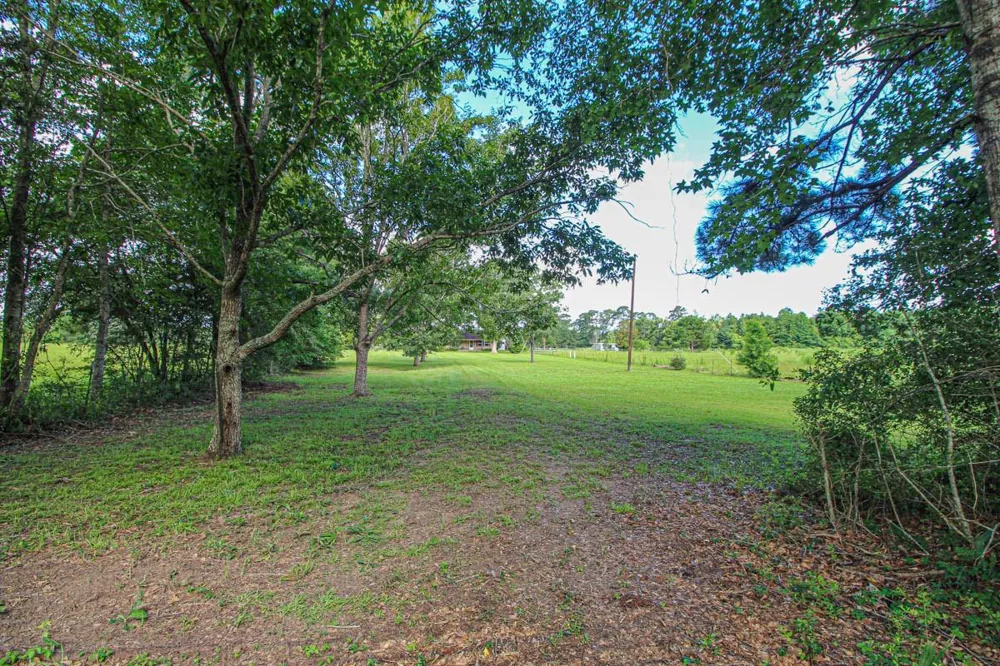 899 J Hickman Road Leggett, TX 77350