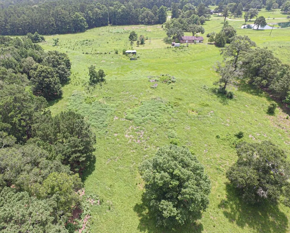 899 J Hickman Road Leggett, TX 77350
