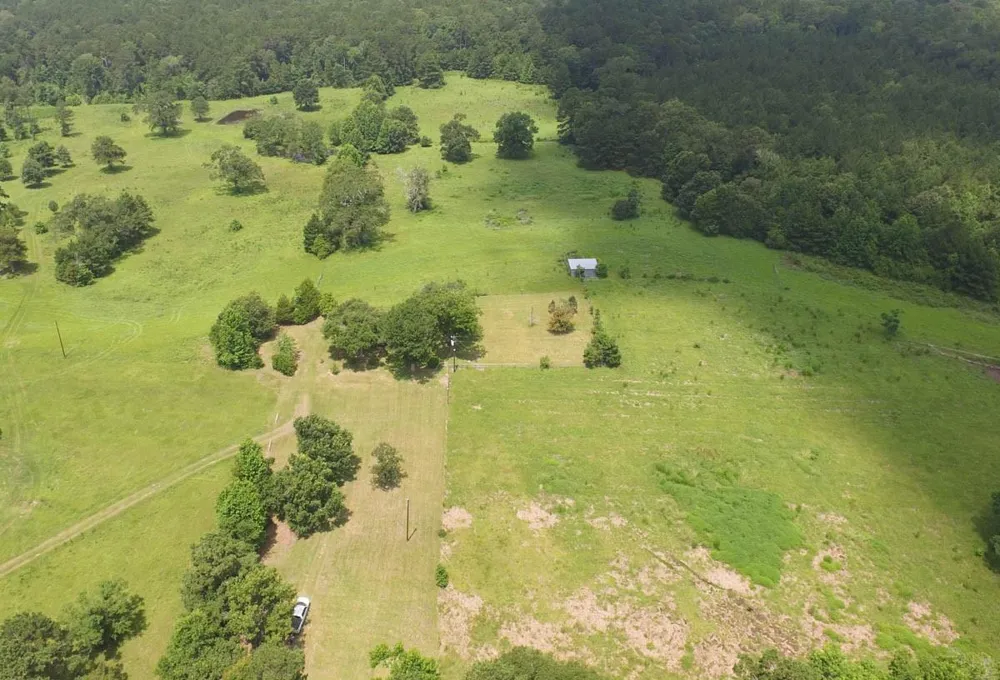 899 J Hickman Road Leggett, TX 77350