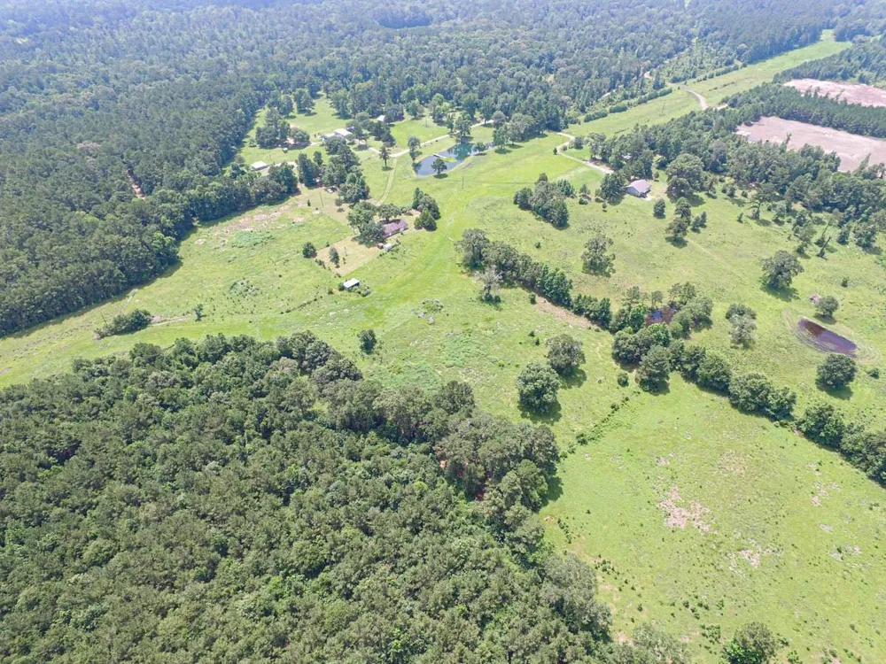 899 J Hickman Road Leggett, TX 77350