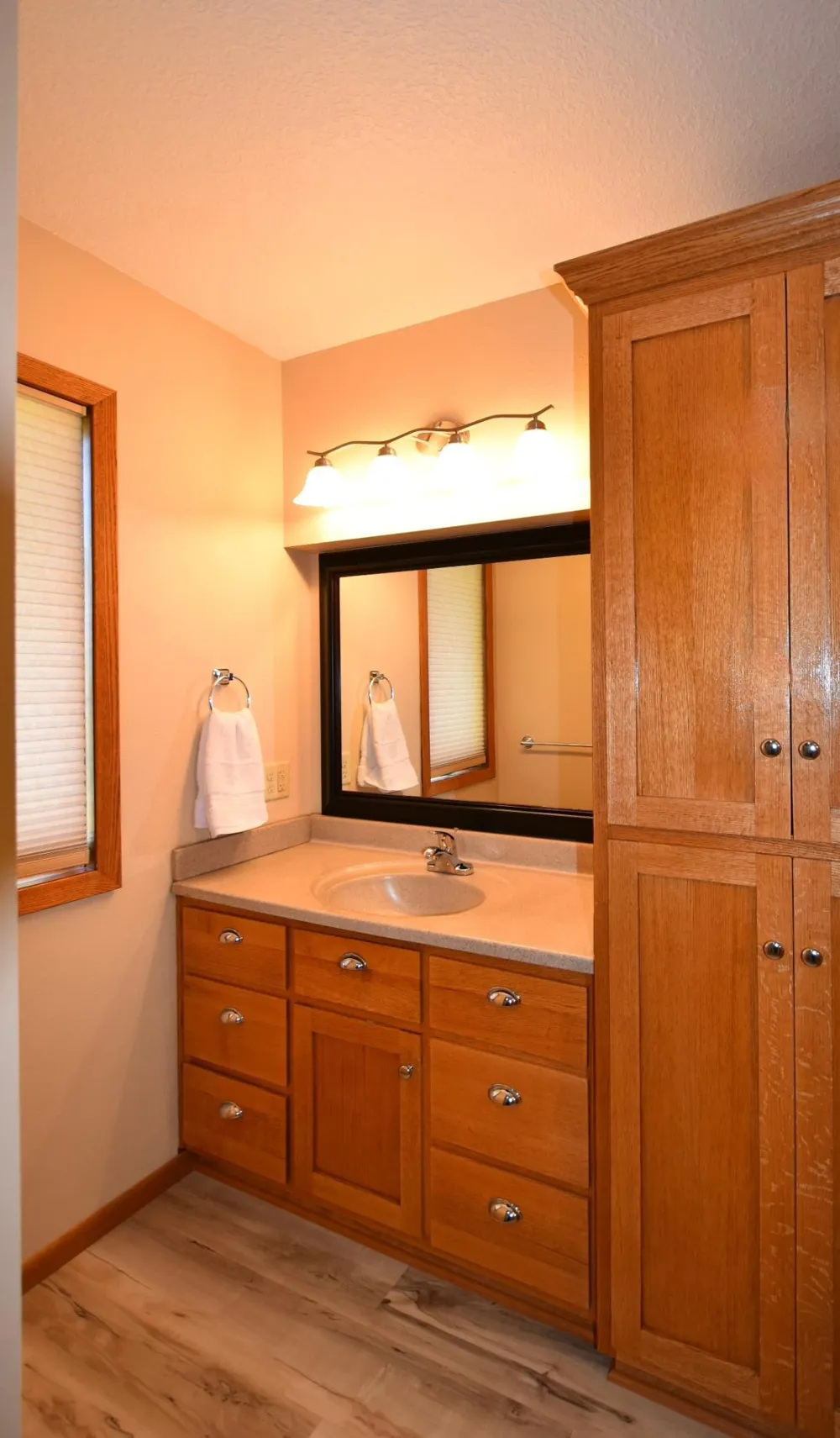 17910 Wedgewood Drive Zumbrota, MN 55992