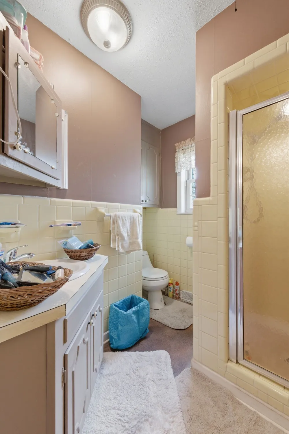 2809 Skyview Dr Centerville, TN 37033