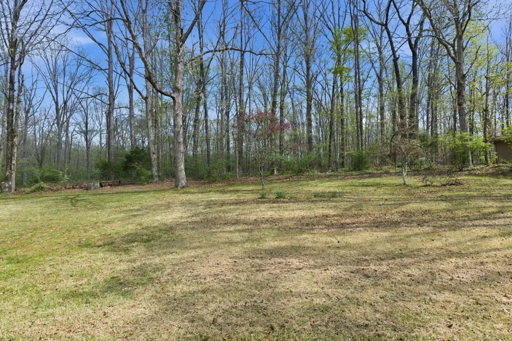 2809 Skyview Dr Centerville, TN 37033