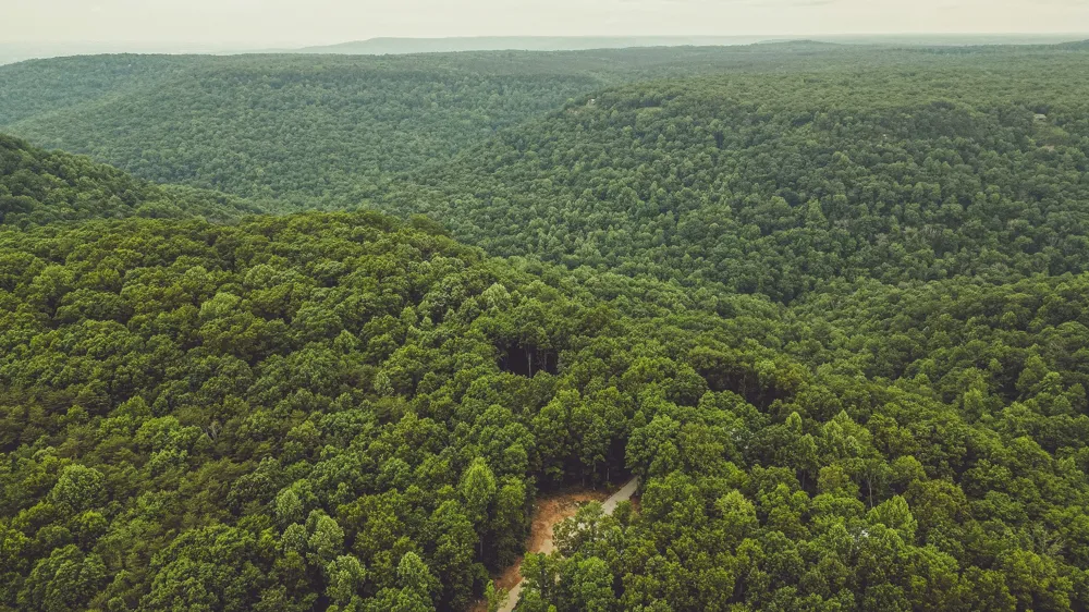 59 Twilight Pt Monteagle, TN 37356