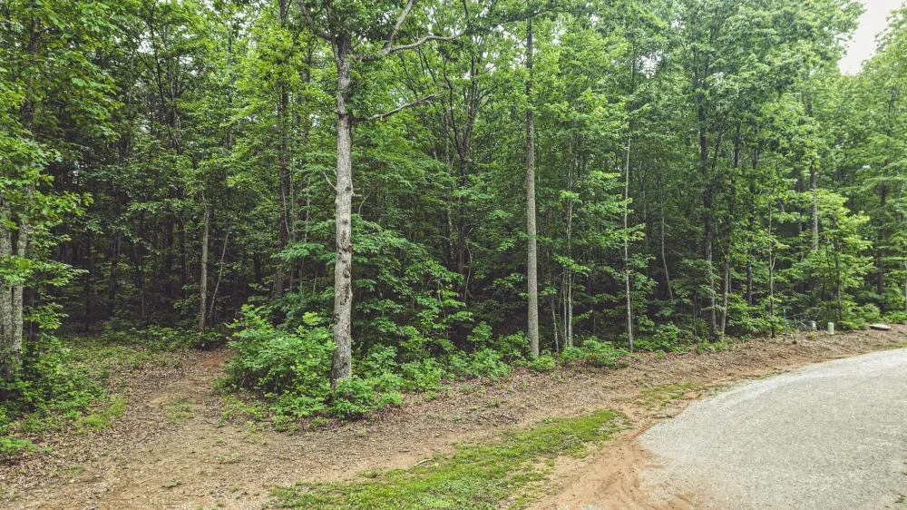 59 Twilight Pt Monteagle, TN 37356