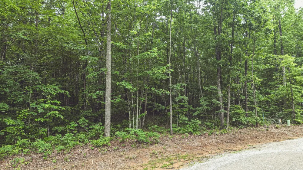 59 Twilight Pt Monteagle, TN 37356