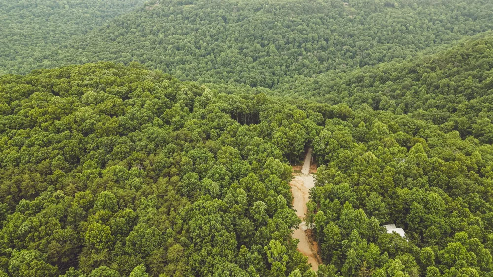 59 Twilight Pt Monteagle, TN 37356
