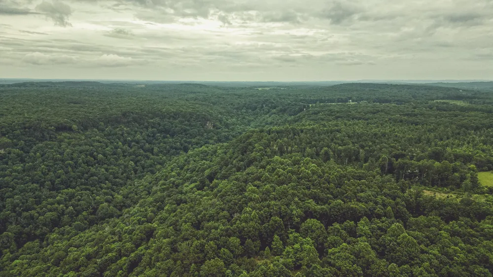 59 Twilight Pt Monteagle, TN 37356