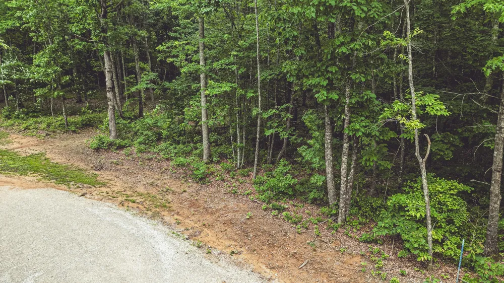 59 Twilight Pt Monteagle, TN 37356