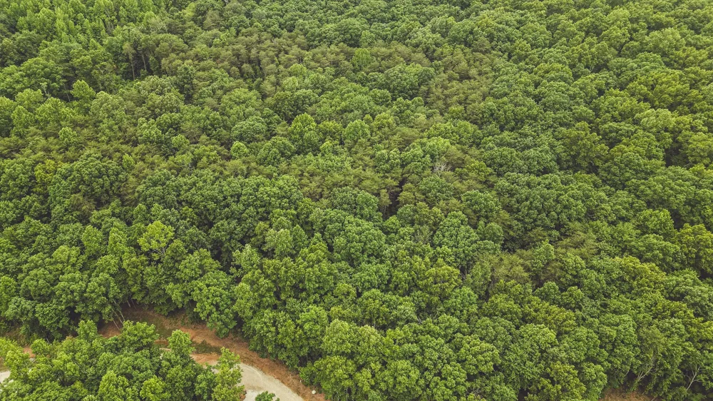 59 Twilight Pt Monteagle, TN 37356