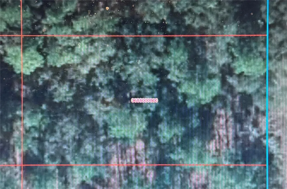 0 SE 134TH TERRACE Dunnellon, FL 34432