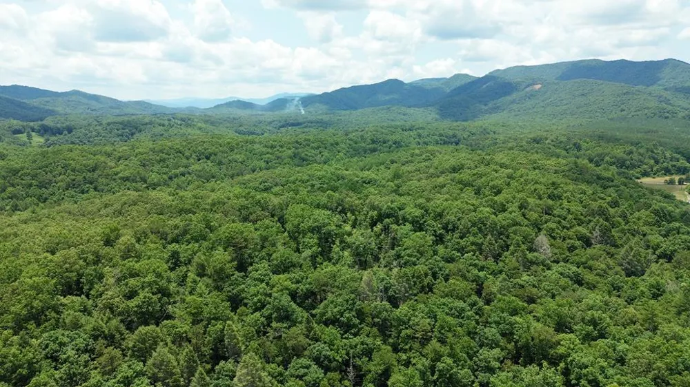155 Acre Hemlock Ridge Subd Turtletown, TN 37391