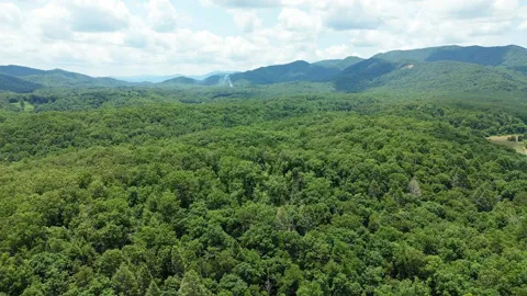 155 Acre Hemlock Ridge Subd
