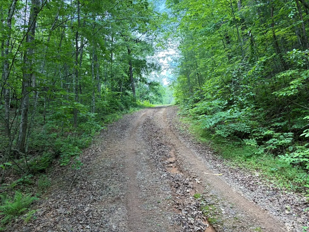 155 Acre Hemlock Ridge Subd Turtletown, TN 37391
